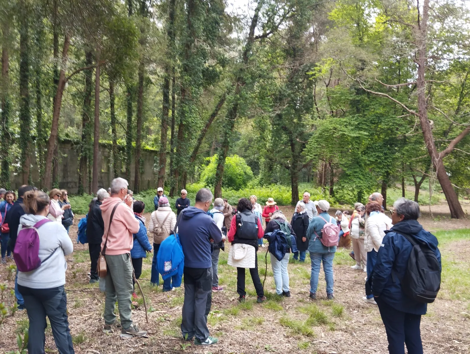 Visita illa de Tambo